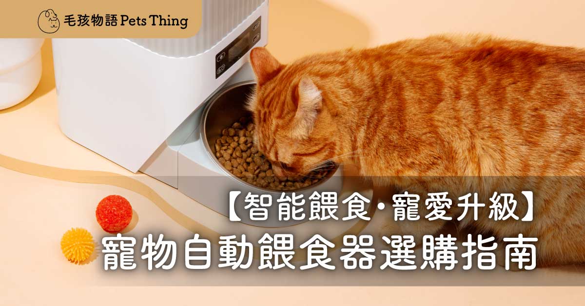 智能餵食・寵愛升級：2026香港寵物自動餵食器選購指南 - 毛孩物語Pets Thing Pet Supplies Online Store｜香港寵物貓狗用品專門店：IATA寵物飛機籠、寵物手推車、貓爬架貓樹