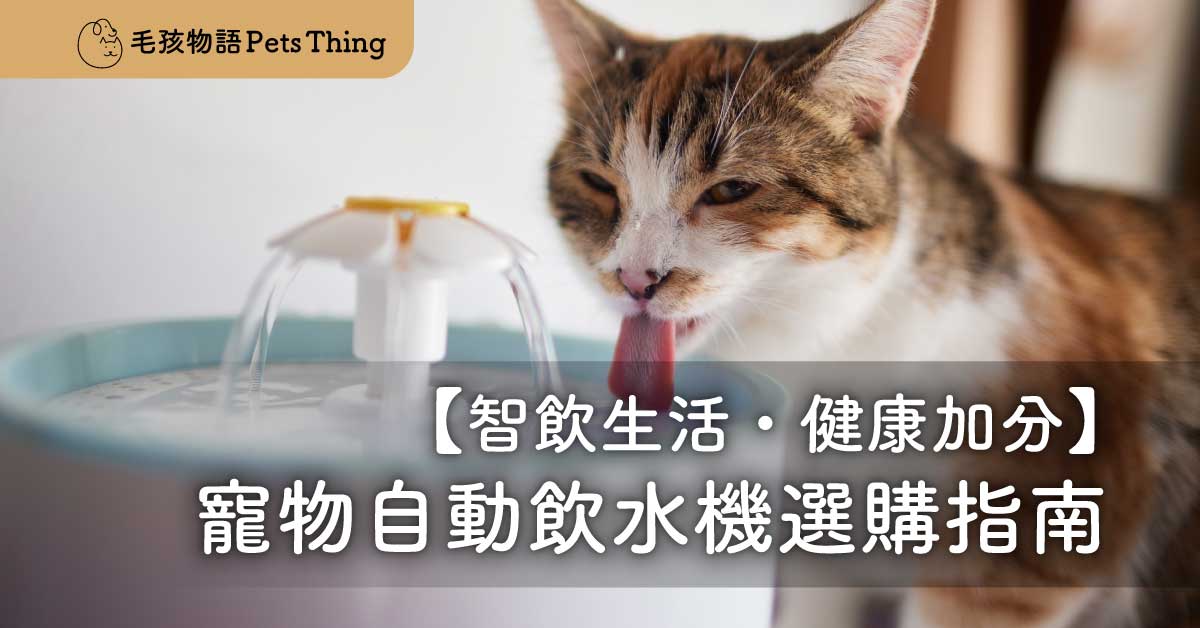 智飲生活，健康加分：2026香港寵物自動飲水機選購指南 - 毛孩物語Pets Thing Pet Supplies Online Store｜香港寵物貓狗用品專門店：IATA寵物飛機籠、寵物手推車、貓爬架貓樹