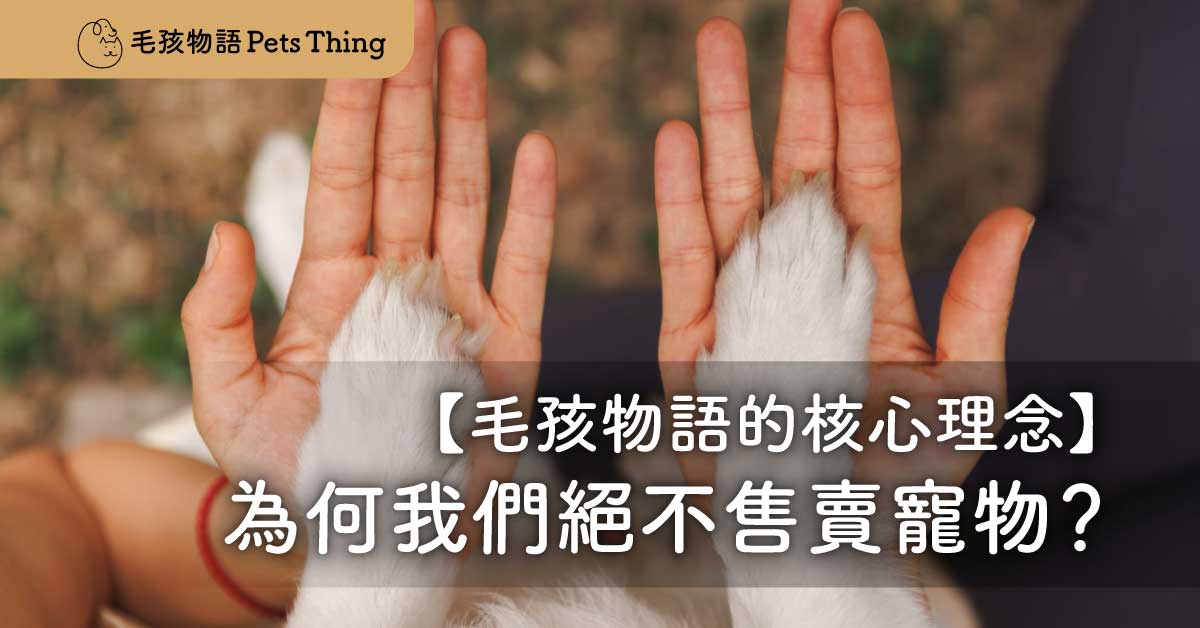 毛孩物語的核心理念：為何我們絕不售賣寵物？ - 毛孩物語Pets Thing Pet Supplies Online Store｜香港寵物貓狗用品專門店：IATA寵物飛機籠、寵物手推車、貓爬架貓樹
