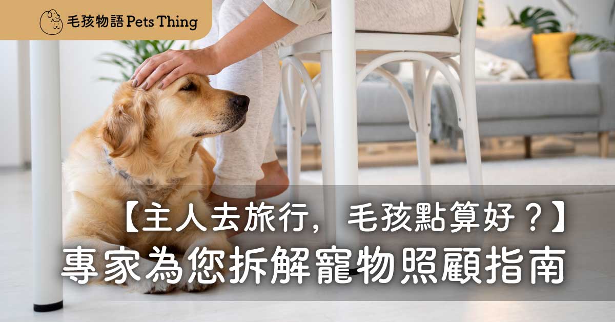 主人去旅行，毛孩點算好？獸醫行為專家為您拆解香港寵物照顧終極指南 - 毛孩物語Pets Thing Pet Supplies Online Store｜香港寵物貓狗用品專門店：IATA寵物飛機籠、寵物手推車、貓爬架貓樹