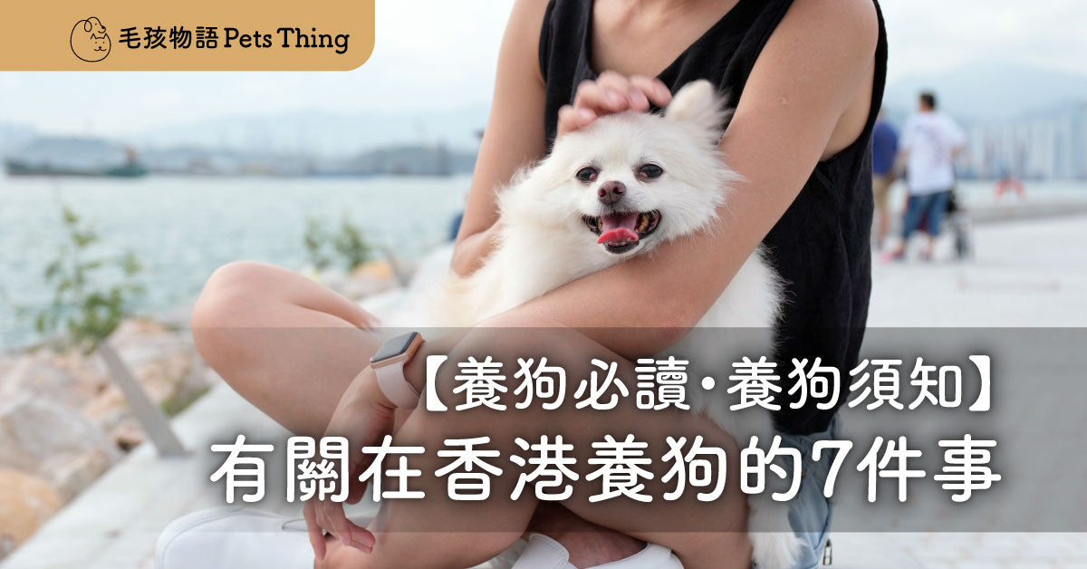 【新手養狗必讀・養狗須知考慮】有關在香港養狗的7件事｜養狗新手貼士常見問題 - 毛孩物語Pets Thing Pet Supplies Online Store｜香港寵物貓狗用品專門店：IATA寵物飛機籠、寵物手推車、貓爬架貓樹