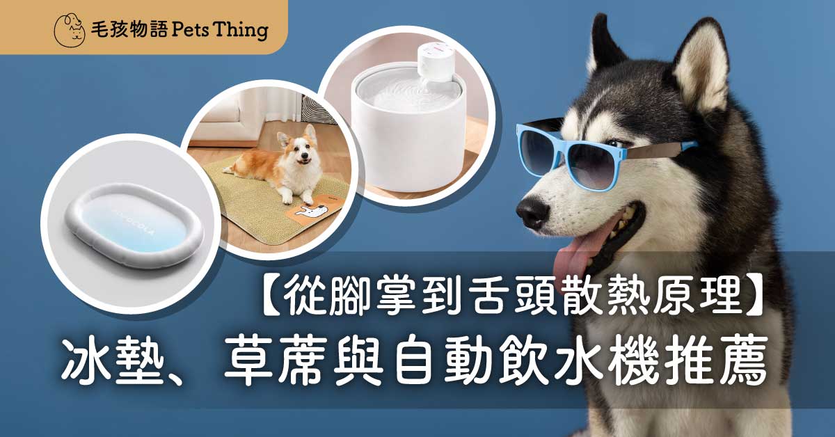 寵物清涼大作戰：從腳掌到舌頭的散熱原理＋超實用冰墊、草蓆與自動飲水機推薦 - 毛孩物語Pets Thing Pet Supplies Online Store｜香港寵物貓狗用品專門店：IATA寵物飛機籠、寵物手推車、貓爬架貓樹