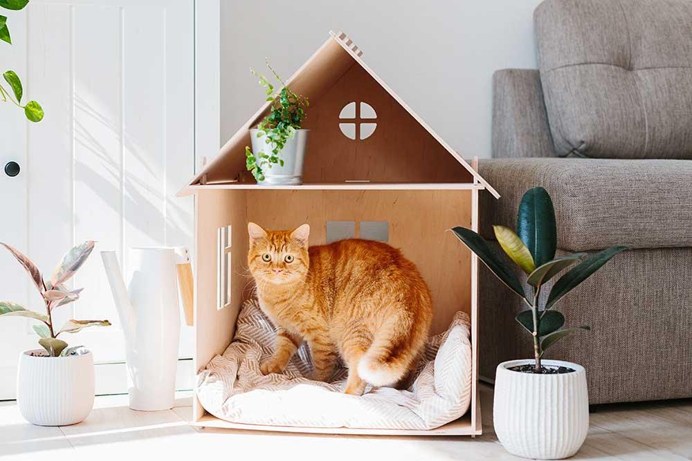 貓屋．貓床．貓窩 - 毛孩物語Pets Thing Pet Supplies Online Store｜香港寵物貓狗用品專門店：IATA寵物飛機籠、寵物手推車、貓爬架貓樹