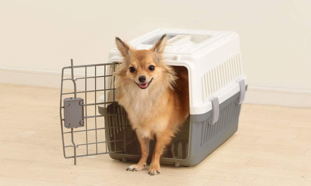 IRIS 日本寵物飛機籠－多間航空公司接受的寵物航空籠 - 毛孩物語Pets Thing Pet Supplies Online Store｜香港寵物貓狗用品專門店：IATA寵物飛機籠、寵物手推車、貓爬架貓樹