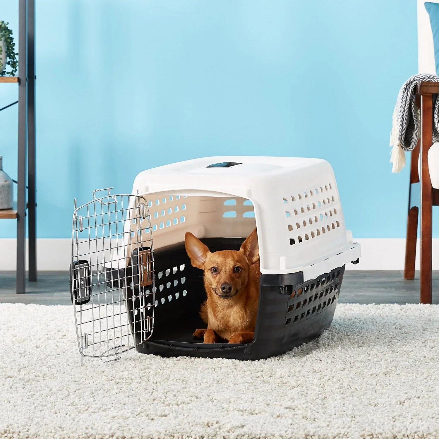 Petmate 美國寵物飛機籠－多間航空公司接受的寵物航空籠 - 毛孩物語Pets Thing Pet Supplies Online Store｜香港寵物貓狗用品專門店：IATA寵物飛機籠、寵物手推車、貓爬架貓樹