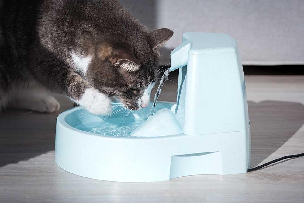 貓貓飲水器／飛機籠飲水器 - 毛孩物語Pets Thing Pet Supplies Online Store｜香港寵物貓狗用品專門店：IATA寵物飛機籠、寵物手推車、貓爬架貓樹