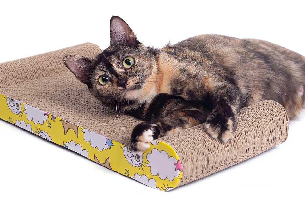 貓貓抓板 - 毛孩物語Pets Thing Pet Supplies Online Store｜香港寵物貓狗用品專門店：IATA寵物飛機籠、寵物手推車、貓爬架貓樹