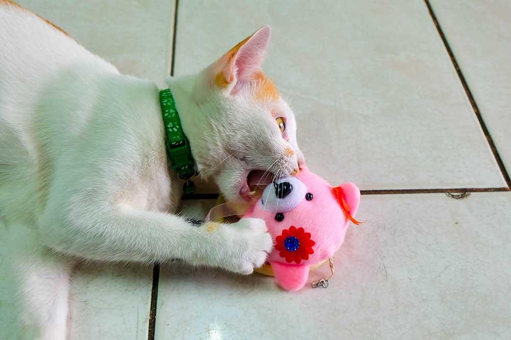 貓貓公仔玩具 - 毛孩物語Pets Thing Pet Supplies Online Store｜香港寵物貓狗用品專門店：IATA寵物飛機籠、寵物手推車、貓爬架貓樹