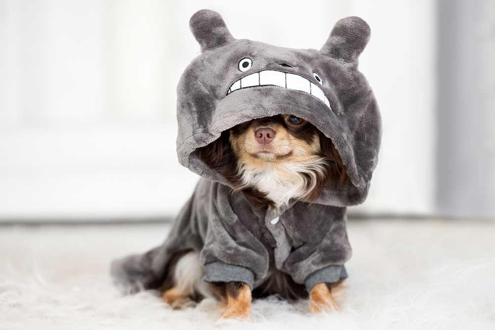 🐶狗狗服飾系列 - 毛孩物語Pets Thing Pet Supplies Online Store｜香港寵物貓狗用品專門店：IATA寵物飛機籠、寵物手推車、貓爬架貓樹