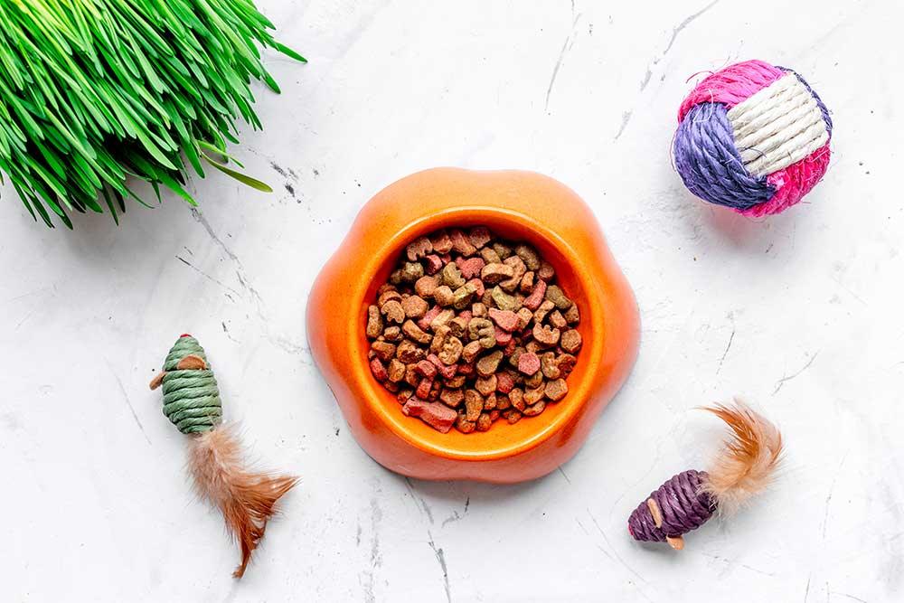 🏷️貓貓精選產品系列 - 毛孩物語Pets Thing Pet Supplies Online Store｜香港寵物貓狗用品專門店：IATA寵物飛機籠、寵物手推車、貓爬架貓樹