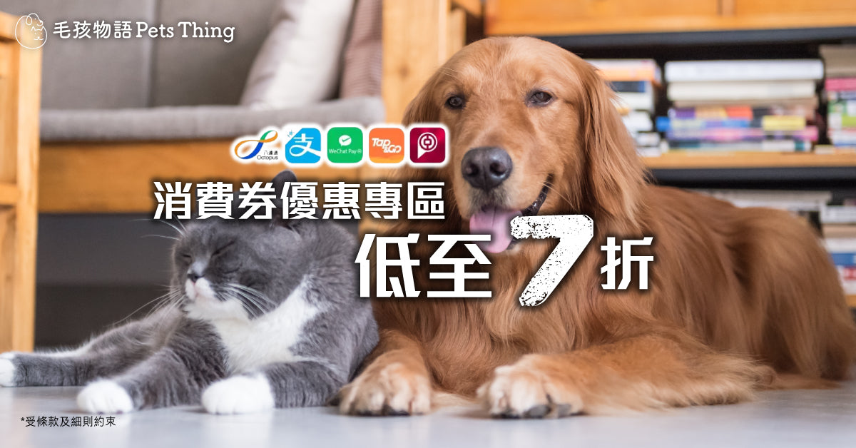 電子消費券毛孩推介． 消費券限定寵物用品低至7折