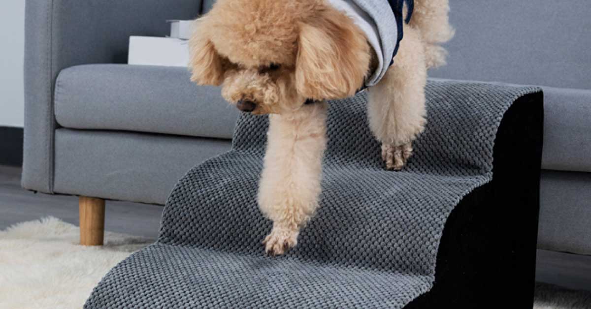 高齡的狗狗或是腰腿不好的犬種，可以藉由寵物階梯或是斜坡，幫助改善家中高低差所帶來的不便，保護狗狗關節。