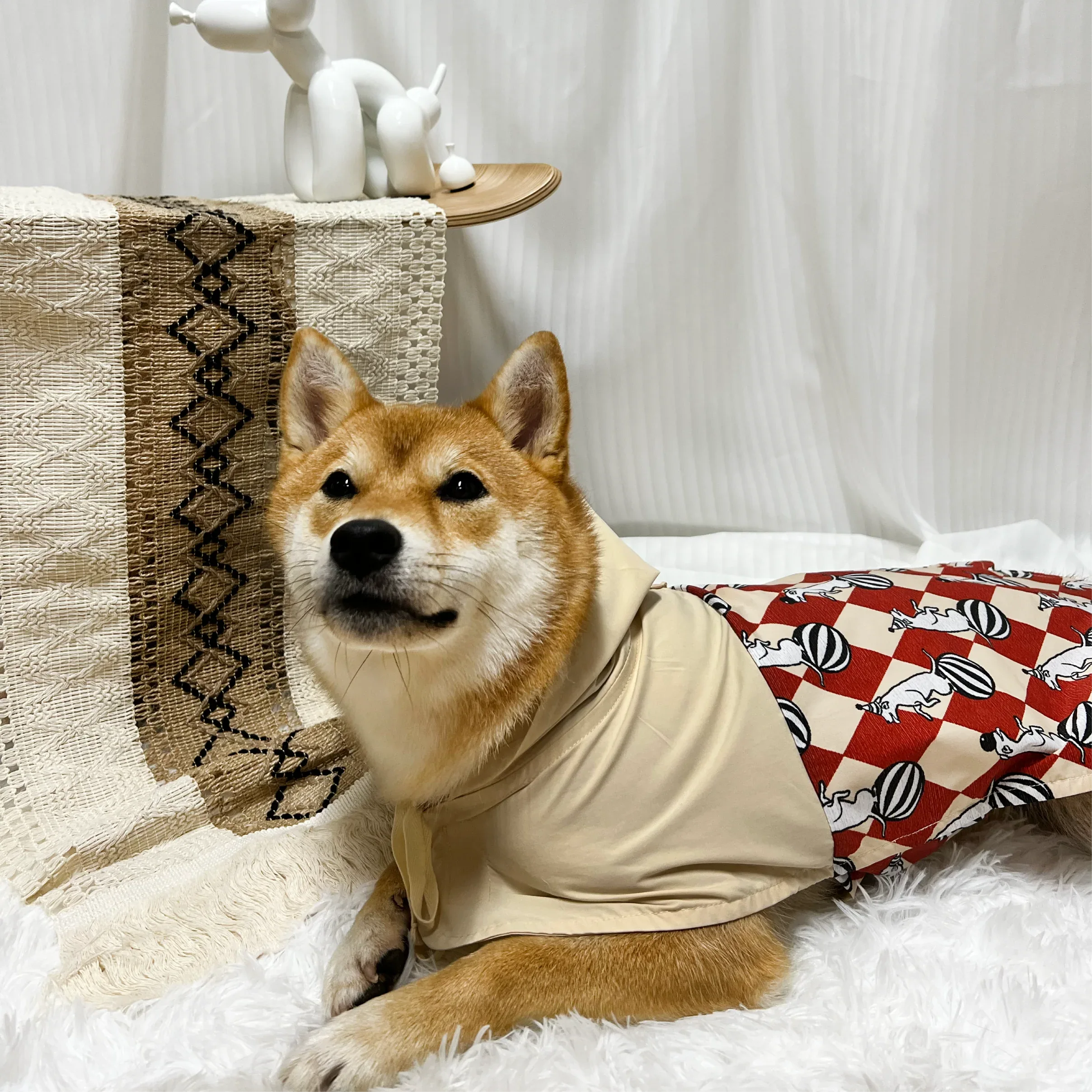 Wagtime可愛卡通圖案高強度聚酯纖維寵物雨衣-狗-毛孩物語Pets Thing｜香港寵物貓狗用品專門店：IATA寵物飛機籠、寵物手推車、貓爬架貓樹