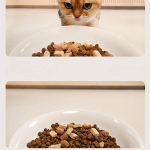 meoof 蛋捲自動餵食器 (帶鏡頭｜4L｜乾濕電2用)-自動餵食器-毛孩物語Pets Thing｜香港寵物貓狗用品專門店：IATA寵物飛機籠、寵物手推車、貓爬架貓樹