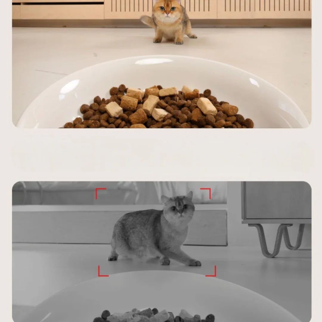 meoof 蛋捲自動餵食器 (帶鏡頭｜4L｜乾濕電2用)-自動餵食器-毛孩物語Pets Thing｜香港寵物貓狗用品專門店：IATA寵物飛機籠、寵物手推車、貓爬架貓樹
