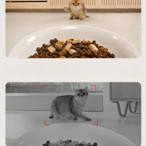 meoof 蛋捲自動餵食器 (帶鏡頭｜4L｜乾濕電2用)-自動餵食器-毛孩物語Pets Thing｜香港寵物貓狗用品專門店：IATA寵物飛機籠、寵物手推車、貓爬架貓樹