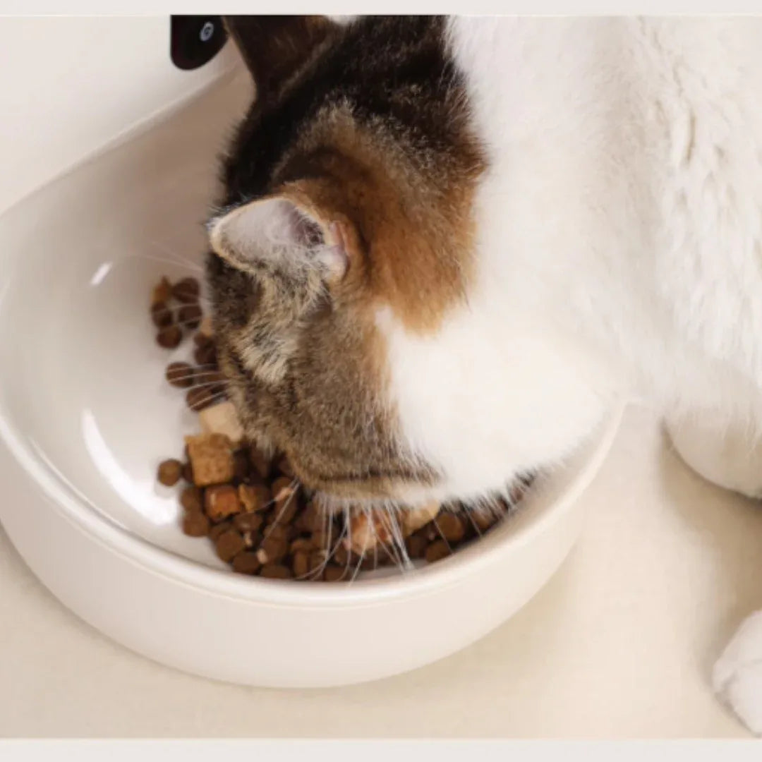 meoof 蛋捲自動餵食器 (帶鏡頭｜4L｜乾濕電2用)-自動餵食器-毛孩物語Pets Thing｜香港寵物貓狗用品專門店：IATA寵物飛機籠、寵物手推車、貓爬架貓樹