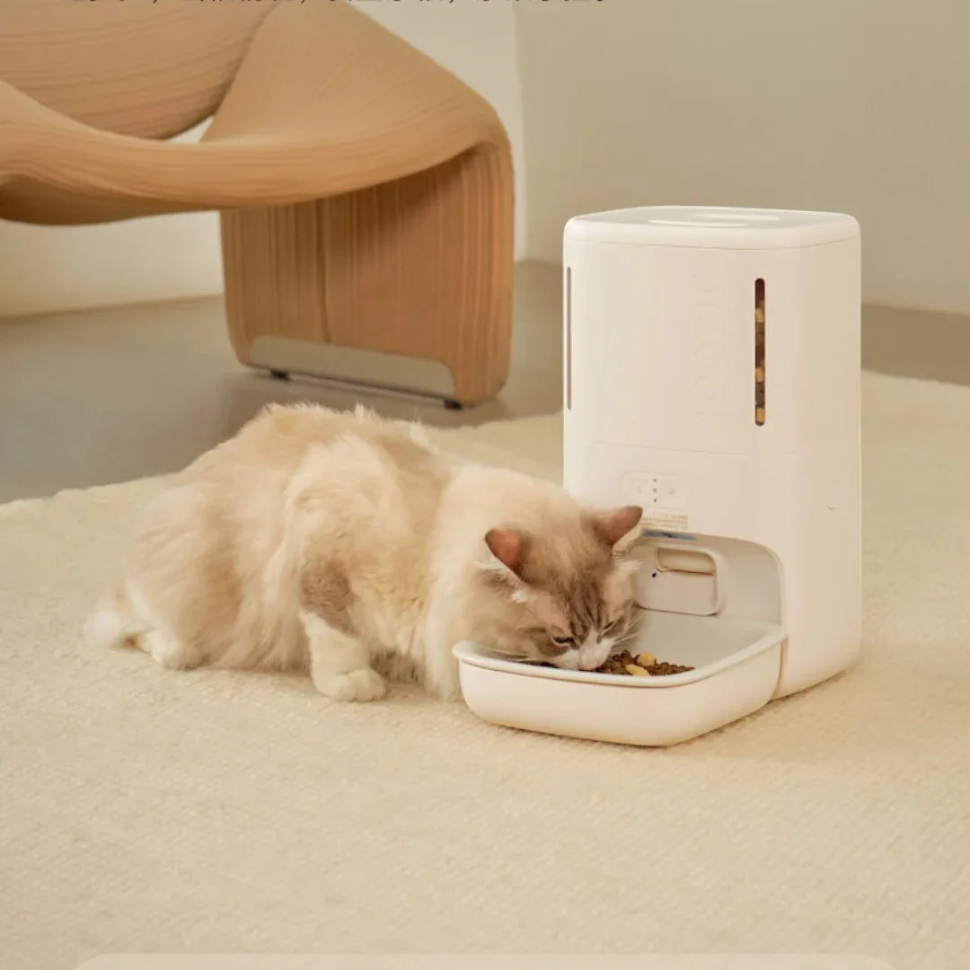 meoof 智能寵物餵食器 (帶鏡頭｜5.5L｜App控制)-自動餵食器-毛孩物語Pets Thing｜香港寵物貓狗用品專門店：IATA寵物飛機籠、寵物手推車、貓爬架貓樹