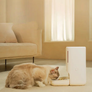 meoof 智能寵物餵食器 (帶鏡頭｜5.5L｜App控制)-自動餵食器-毛孩物語Pets Thing｜香港寵物貓狗用品專門店：IATA寵物飛機籠、寵物手推車、貓爬架貓樹