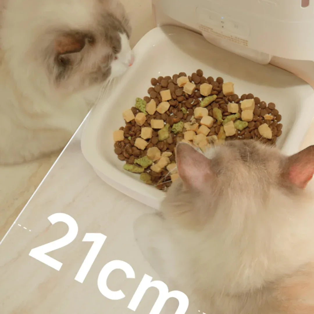 meoof 智能寵物餵食器 (帶鏡頭｜5.5L｜App控制)-自動餵食器-毛孩物語Pets Thing｜香港寵物貓狗用品專門店：IATA寵物飛機籠、寵物手推車、貓爬架貓樹