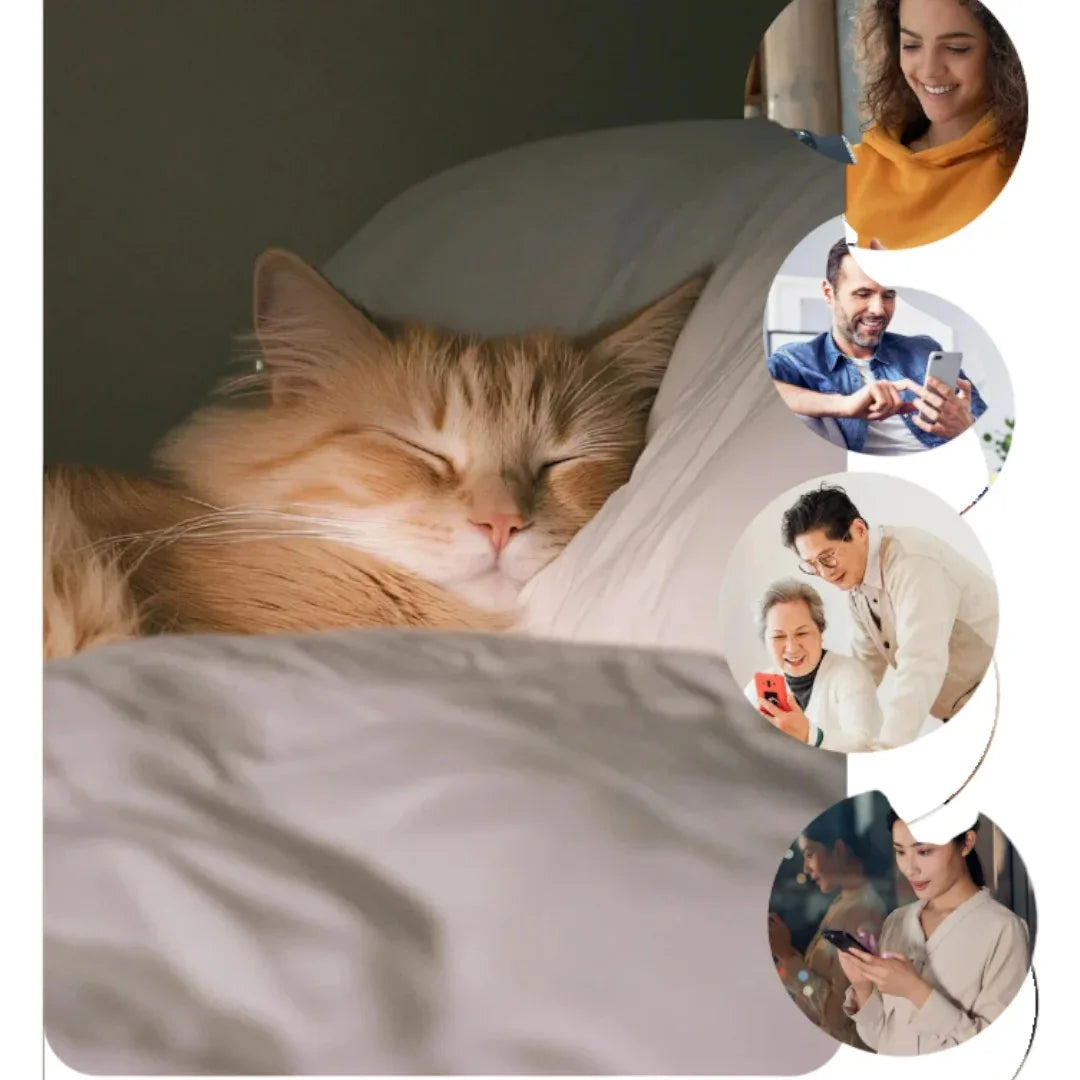 FURPIPI自動寵物餵食器 (帶鏡頭｜6L｜視訊互動)-自動餵食器-毛孩物語Pets Thing｜香港寵物貓狗用品專門店：IATA寵物飛機籠、寵物手推車、貓爬架貓樹