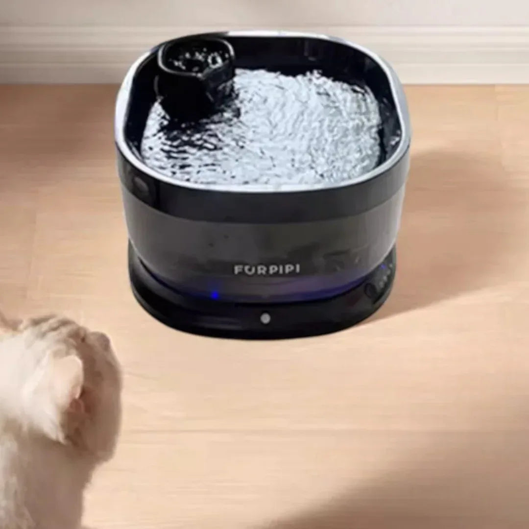 FURPIPI 黑色自動飲水機 [四重過濾|640ml水盤|7L容量]-自動飲水器-毛孩物語Pets Thing｜香港寵物貓狗用品專門店：IATA寵物飛機籠、寵物手推車、貓爬架貓樹