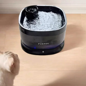 FURPIPI 黑色自動飲水機 [四重過濾|640ml水盤|7L容量]-自動飲水器-毛孩物語Pets Thing｜香港寵物貓狗用品專門店：IATA寵物飛機籠、寵物手推車、貓爬架貓樹