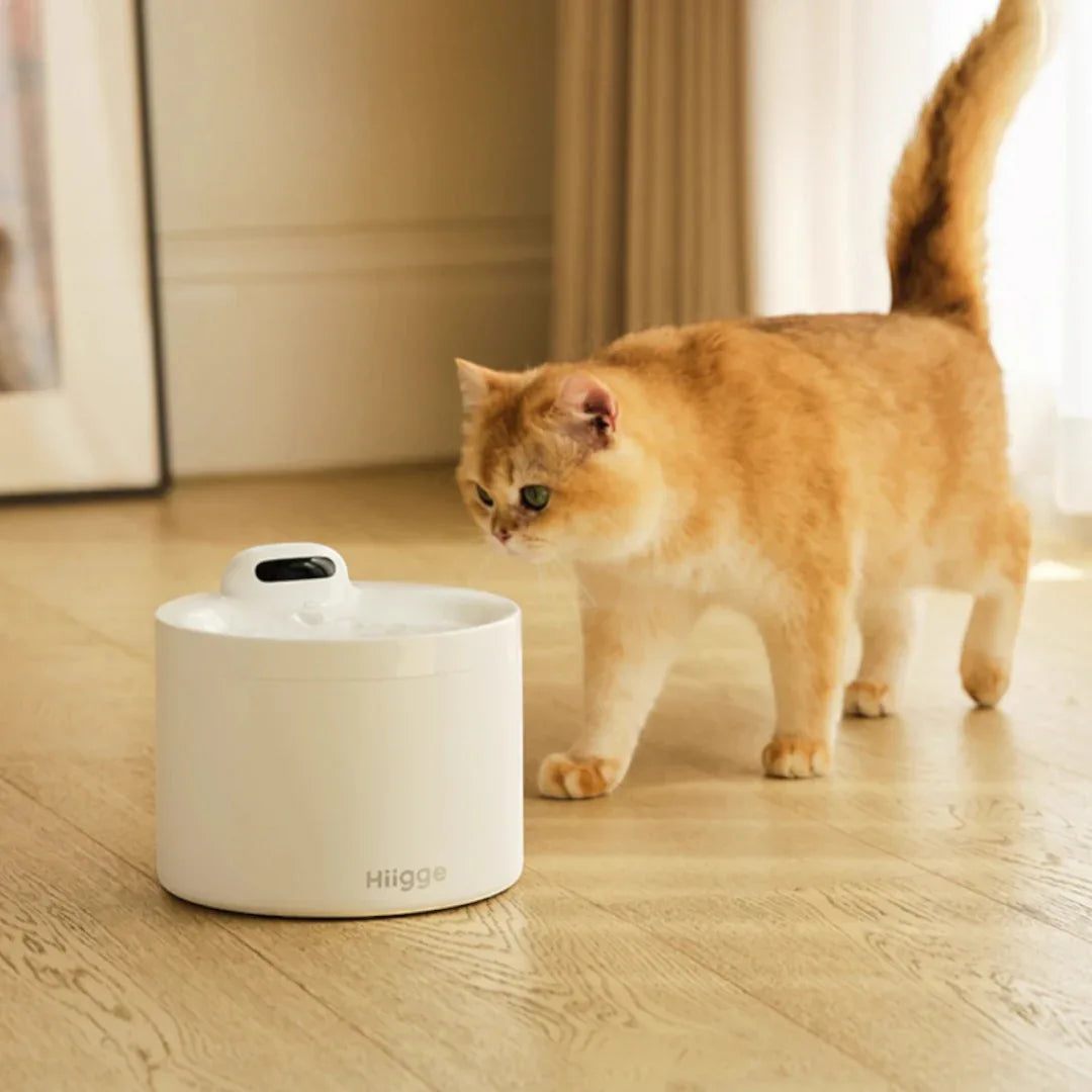 Hiigge寵物Light自動飲水器（APP連接|4000mAh|2.3L容量）-自動飲水器-毛孩物語Pets Thing｜香港寵物貓狗用品專門店：IATA寵物飛機籠、寵物手推車、貓爬架貓樹