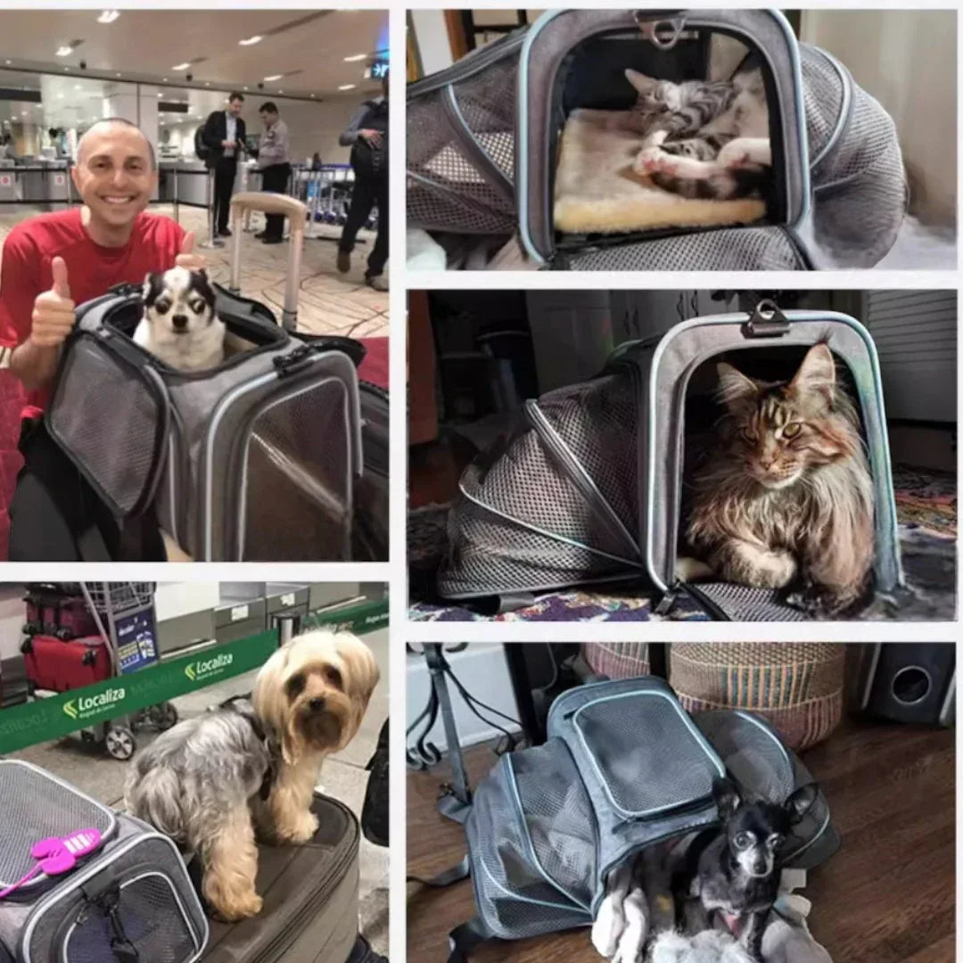 Petsfit 高質三用擴展式航空寵物軟袋 (內置安全繩｜底板硬墊｜單邊擴展版)-寵物航空箱寵物袋-毛孩物語Pets Thing｜香港寵物貓狗用品專門店：IATA寵物飛機籠、寵物手推車、貓爬架貓樹