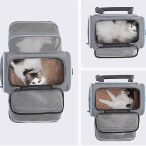 Petsfit 高質三用擴展式航空寵物軟袋 (內置安全繩｜底板硬墊｜單邊擴展版)-寵物航空箱寵物袋-毛孩物語Pets Thing｜香港寵物貓狗用品專門店：IATA寵物飛機籠、寵物手推車、貓爬架貓樹