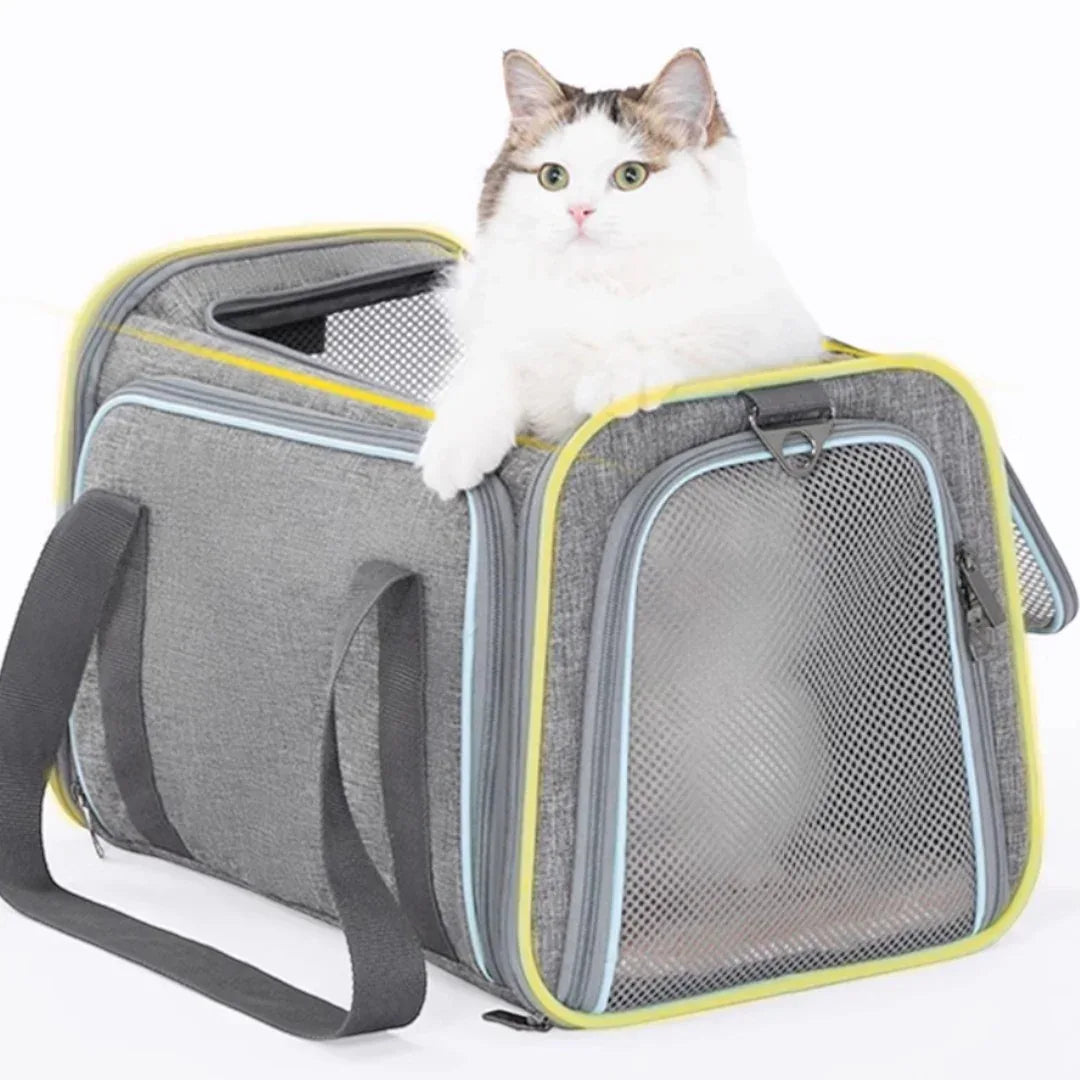 Petsfit 高質三用擴展式航空寵物軟袋 (內置安全繩｜底板硬墊｜單邊擴展版)-寵物航空箱寵物袋-毛孩物語Pets Thing｜香港寵物貓狗用品專門店：IATA寵物飛機籠、寵物手推車、貓爬架貓樹