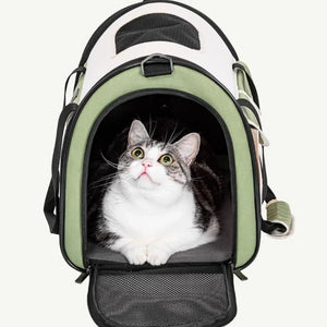 Petsfit 便攜橫著走外出袋 (秒折疊)-寵物航空箱寵物袋-毛孩物語Pets Thing｜香港寵物貓狗用品專門店：IATA寵物飛機籠、寵物手推車、貓爬架貓樹