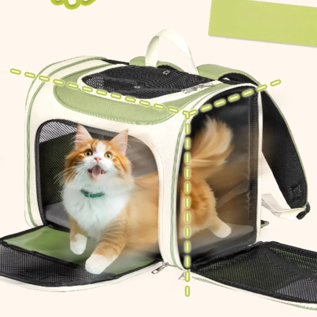 PETSFIT 寵物雙肩橫護腰設計背囊-貓-毛孩物語Pets Thing｜香港寵物貓狗用品專門店：IATA寵物飛機籠、寵物手推車、貓爬架貓樹