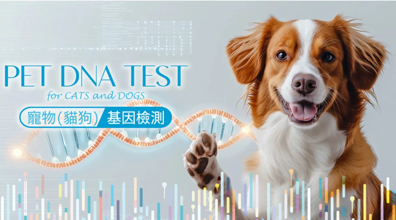 HERO DNA 寵物(貓狗)基因檢測套裝 Pet DNA Test for Cats and Dogs-寵物基因檢測-毛孩物語Pets Thing｜香港寵物貓狗用品專門店：IATA寵物飛機籠、寵物手推車、貓爬架貓樹