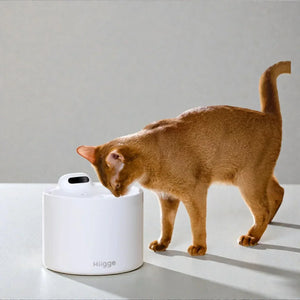 Hiigge雪頂 Light 2 Ultra 寵物飲水機 (UVC殺菌+抑菌版|4000mAh|2.3L容量)-自動飲水器-毛孩物語Pets Thing｜香港寵物貓狗用品專門店：IATA寵物飛機籠、寵物手推車、貓爬架貓樹