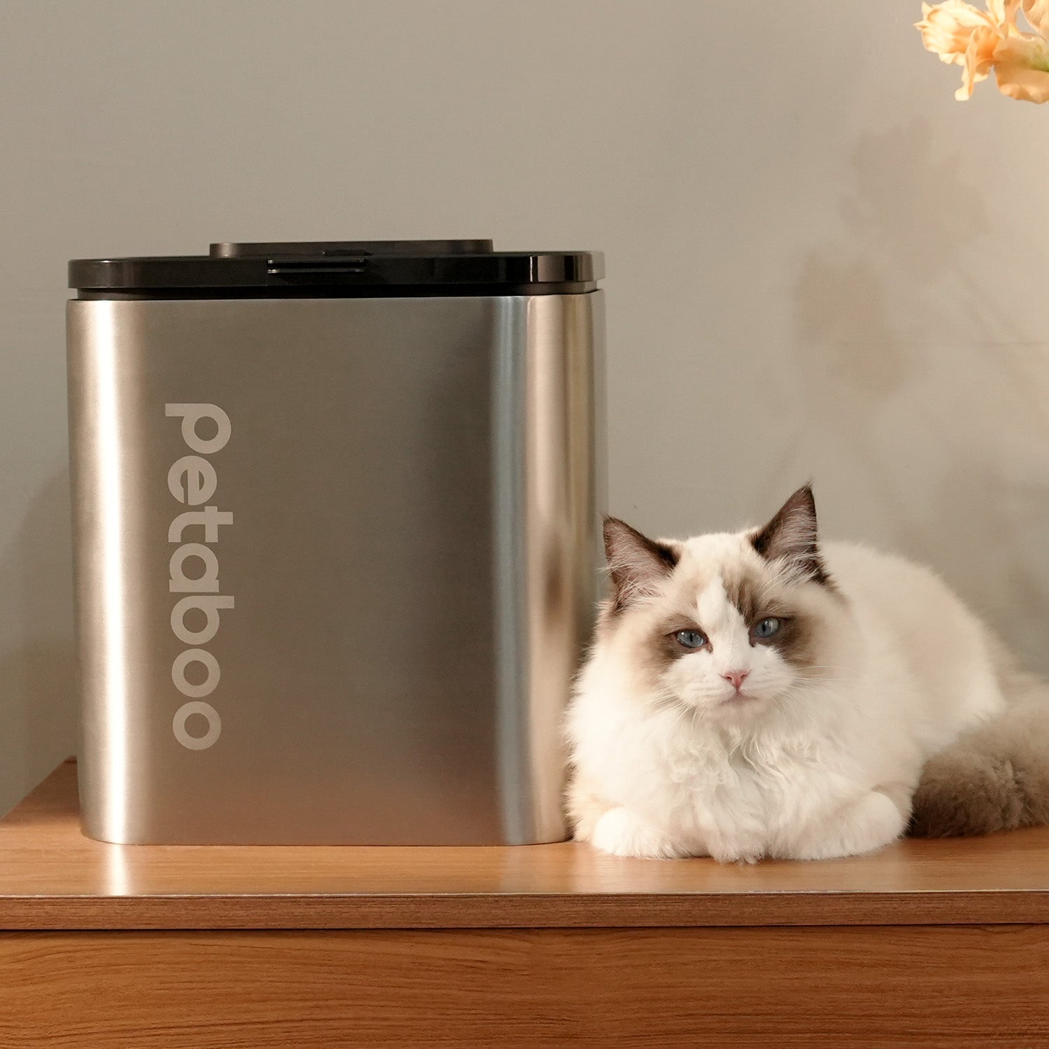 Petaboo C200 自動真空儲糧桶-貓狗-毛孩物語Pets Thing｜香港寵物貓狗用品專門店：IATA寵物飛機籠、寵物手推車、貓爬架貓樹