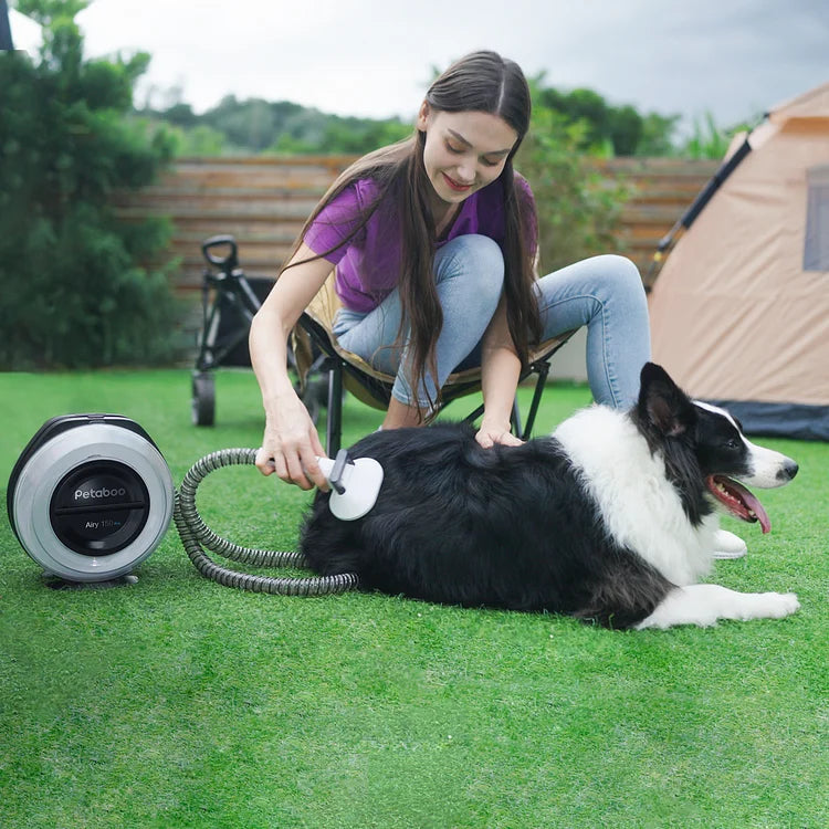 Petaboo A150 Pro 7合1多功能無線吸毛器-貓狗-毛孩物語Pets Thing｜香港寵物貓狗用品專門店：IATA寵物飛機籠、寵物手推車、貓爬架貓樹