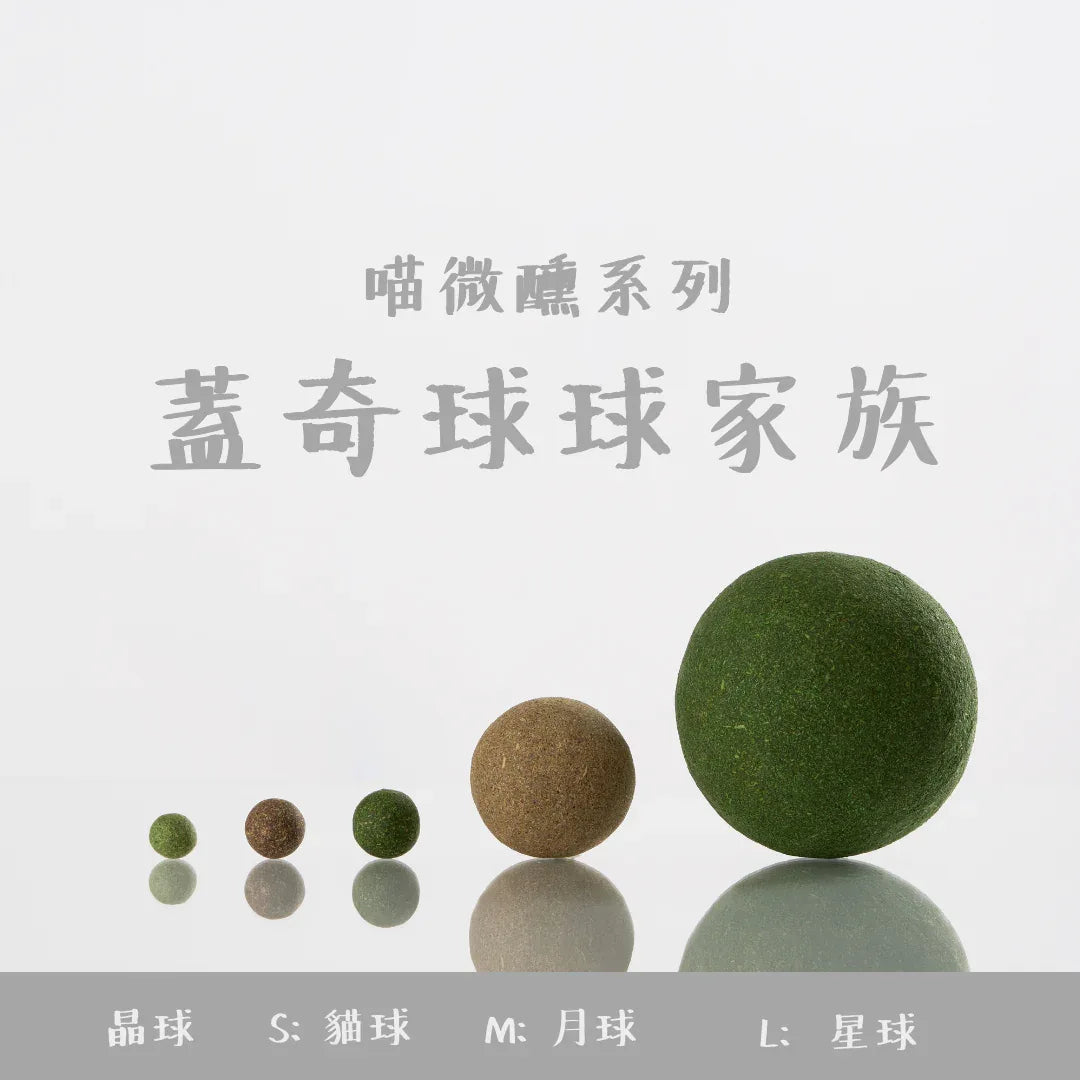 Pawfy 貓咪玩樂磨牙 - 貓薄荷套裝 (4件裝)-貓玩具-毛孩物語Pets Thing｜香港寵物貓狗用品專門店：IATA寵物飛機籠、寵物手推車、貓爬架貓樹