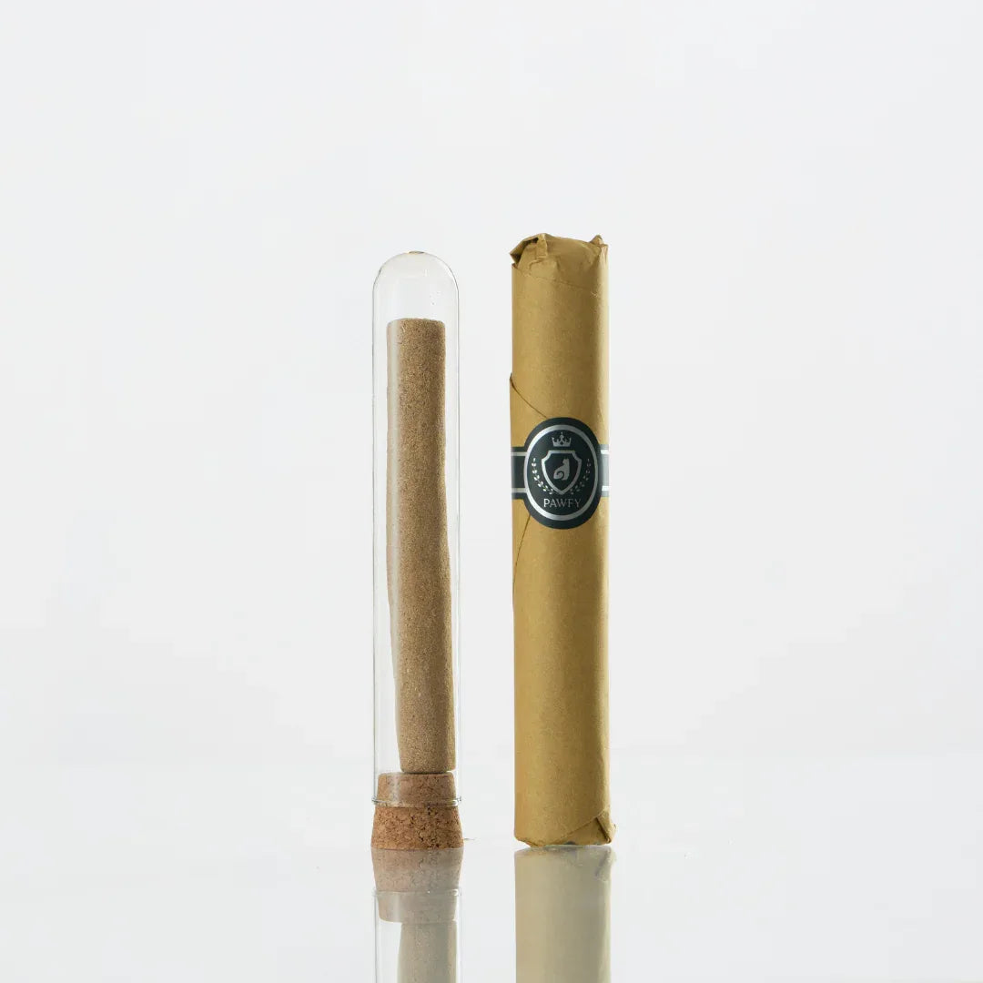 Pawfy 貓咪玩樂磨牙 - 木天蓼套裝 (4件裝)-貓玩具-毛孩物語Pets Thing｜香港寵物貓狗用品專門店：IATA寵物飛機籠、寵物手推車、貓爬架貓樹