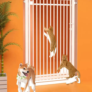 Pets Thing寵物貓貓屋企圍欄安全門易裝防護欄 (高度170cm)-貓圍欄-毛孩物語Pets Thing｜香港寵物貓狗用品專門店：IATA寵物飛機籠、寵物手推車、貓爬架貓樹