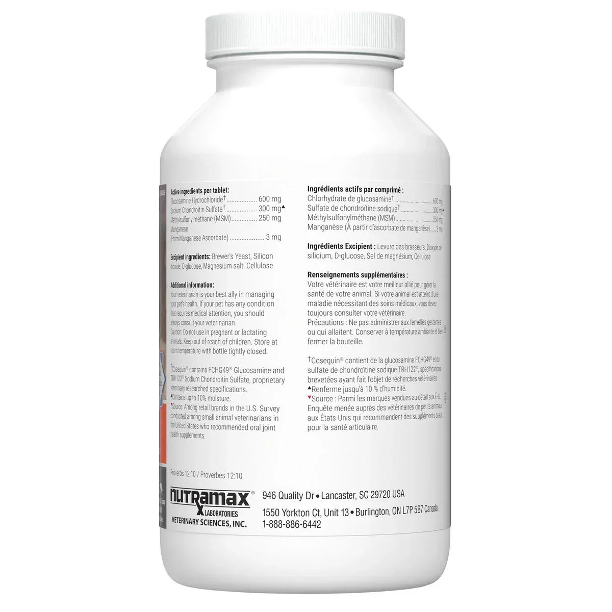 加拿大直送：Cosequin DS 特強關節健骨咀嚼片 (+MSM 止痛配方) 360粒-寵物補充品-毛孩物語Pets Thing｜香港寵物貓狗用品專門店：IATA寵物飛機籠、寵物手推車、貓爬架貓樹