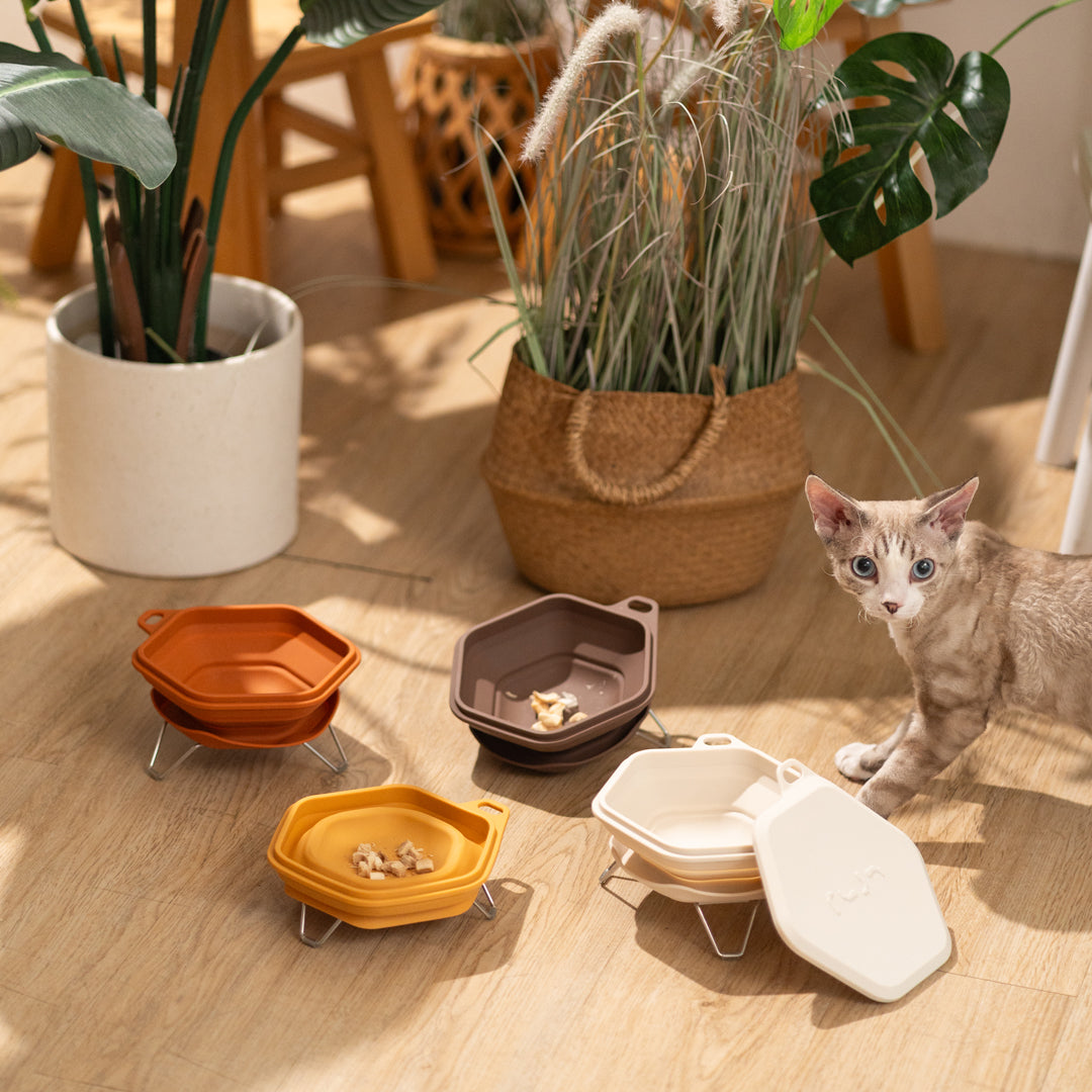 Dinon 戶外防蟻摺疊碗-毛孩物語Pets Thing｜香港寵物貓狗用品專門店：IATA寵物飛機籠、寵物手推車、貓爬架貓樹