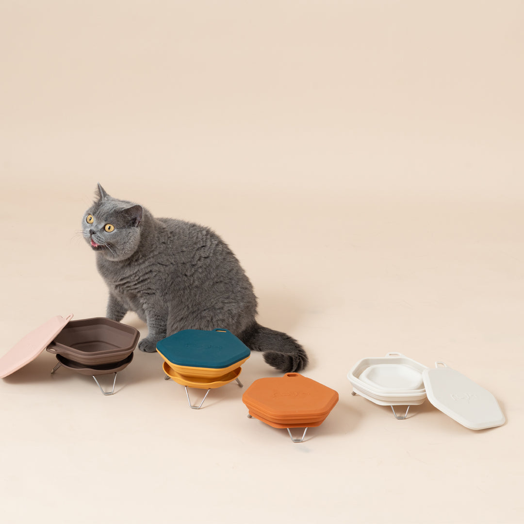 Dinon 戶外防蟻摺疊碗-毛孩物語Pets Thing｜香港寵物貓狗用品專門店：IATA寵物飛機籠、寵物手推車、貓爬架貓樹
