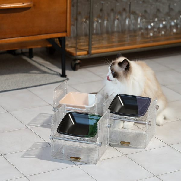 Fito 可調節貓餐碗套裝-貓用品-毛孩物語Pets Thing｜香港寵物貓狗用品專門店：IATA寵物飛機籠、寵物手推車、貓爬架貓樹