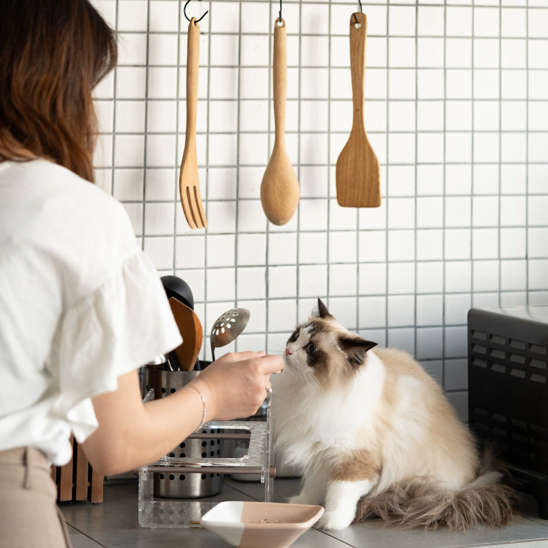 Fito 可調節貓餐碗套裝-貓用品-毛孩物語Pets Thing｜香港寵物貓狗用品專門店：IATA寵物飛機籠、寵物手推車、貓爬架貓樹