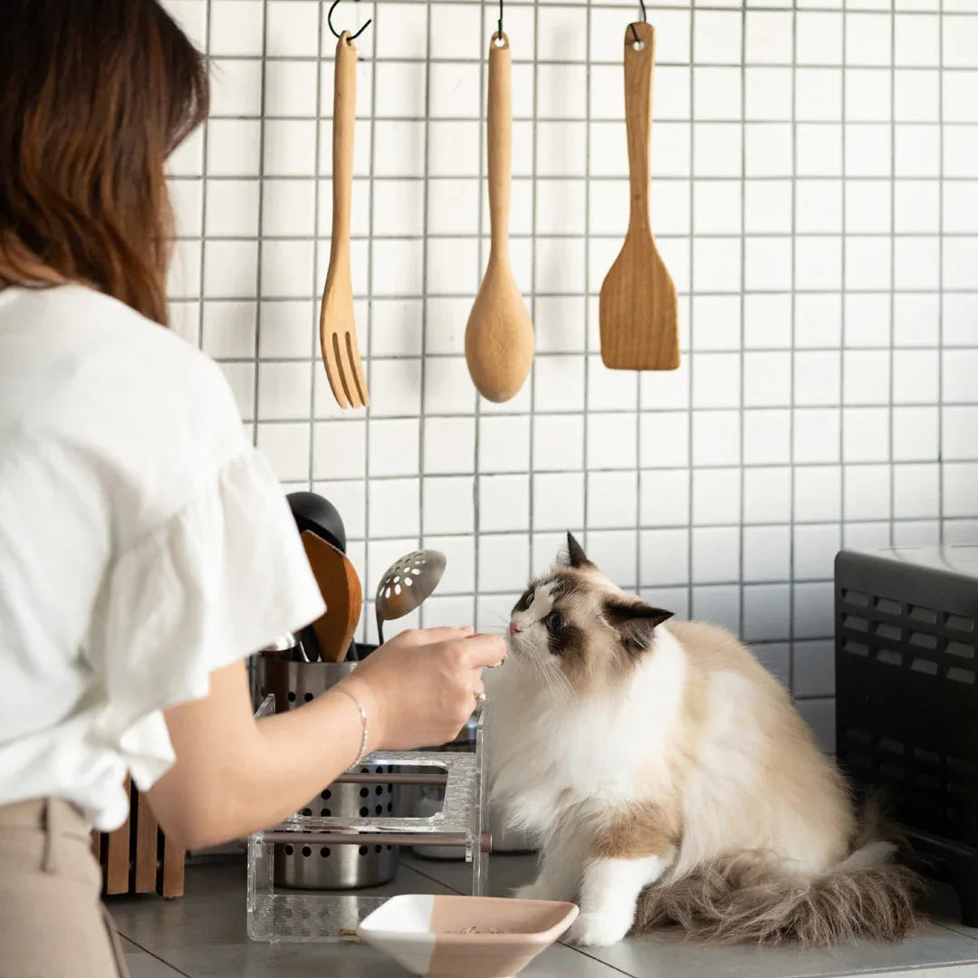 Pettellyava’ Fito 可調節貓餐碗套裝-貓用品-毛孩物語Pets Thing｜香港寵物貓狗用品專門店：IATA寵物飛機籠、寵物手推車、貓爬架貓樹