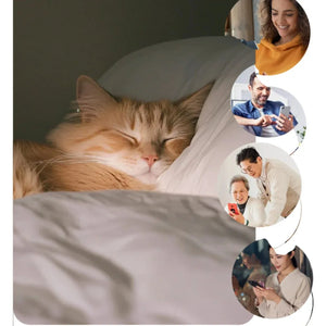 FURPIPI自動寵物餵食器 (帶鏡頭｜6L｜視訊互動)-自動餵食器-毛孩物語Pets Thing｜香港寵物貓狗用品專門店：IATA寵物飛機籠、寵物手推車、貓爬架貓樹