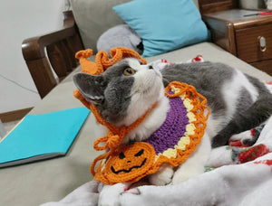 寵物萬聖節升級裝飾衣服狗狗貓咪頸帶圍兜套裝(南瓜圍兜連橙色帽)-貓狗-毛孩物語Pets Thing｜香港寵物貓狗用品專門店：IATA寵物飛機籠、寵物手推車、貓爬架貓樹