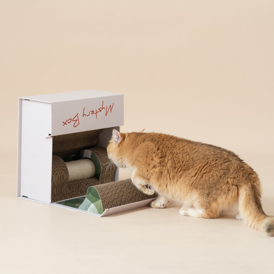 Mystery Box 貓抓盲盒-貓玩具-毛孩物語Pets Thing｜香港寵物貓狗用品專門店：IATA寵物飛機籠、寵物手推車、貓爬架貓樹