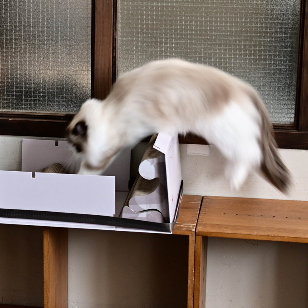 Mystery Box 貓抓盲盒-貓玩具-毛孩物語Pets Thing｜香港寵物貓狗用品專門店：IATA寵物飛機籠、寵物手推車、貓爬架貓樹